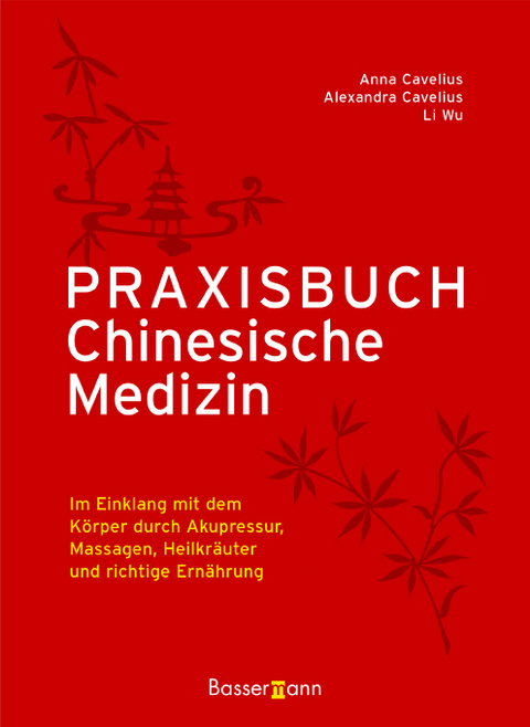 Praxisbuch Chinesische Medizin - Andrea A Cavelius, Alexandra Cavelius