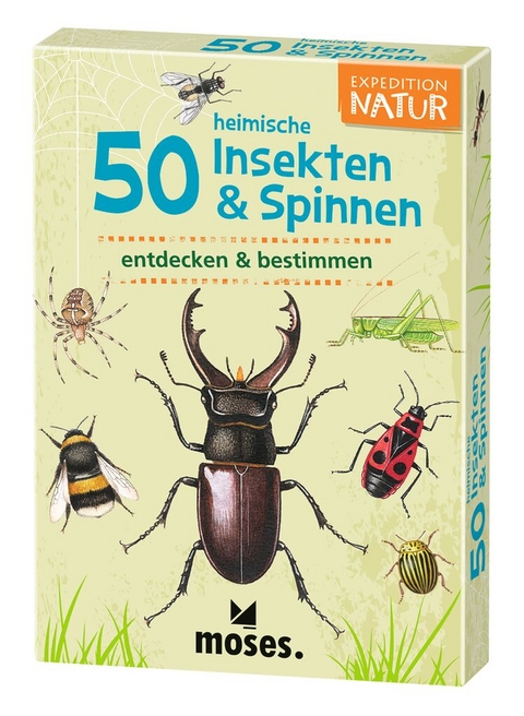 Expedition Natur 50 heimische Insekten & Spinnen - Carola von Kessel