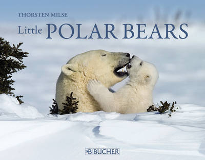 Little Polar Bears - Thorsten Milse