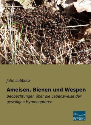Ameisen, Bienen und Wespen - John Lubbock