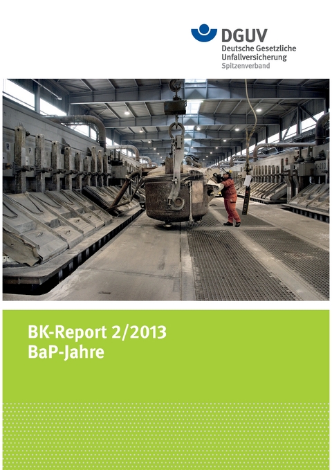 BK-Report 2/2013 BaP-Jahre