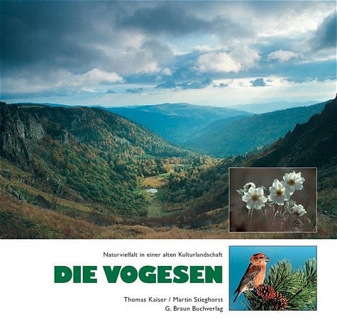 Die Vogesen - Martin Stieghorst