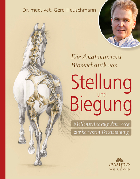 Die Anatomie und Biomechanik von Stellung und Biegung - Gerd Heuschmann