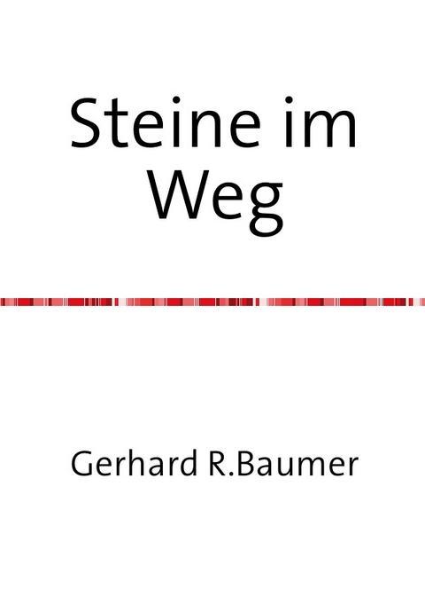 Steine im Weg - Gerhard Baumer