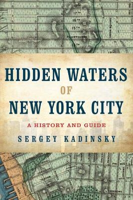 Hidden Waters of New York City - Sergey Kadinsky