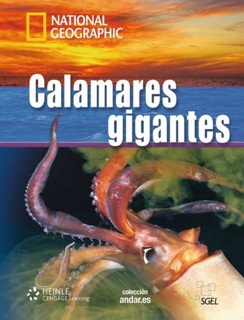 Calamares gigantes - 