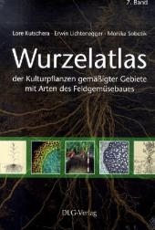 Wurzelatlas der Kulturpflanzen gemäßigter Gebiete mit Arten des Feldgemüsebaues - Lore Kutschera, Erwin Lichtenegger, Monika Sobotik