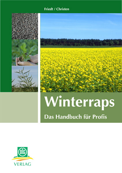 Winterraps - 