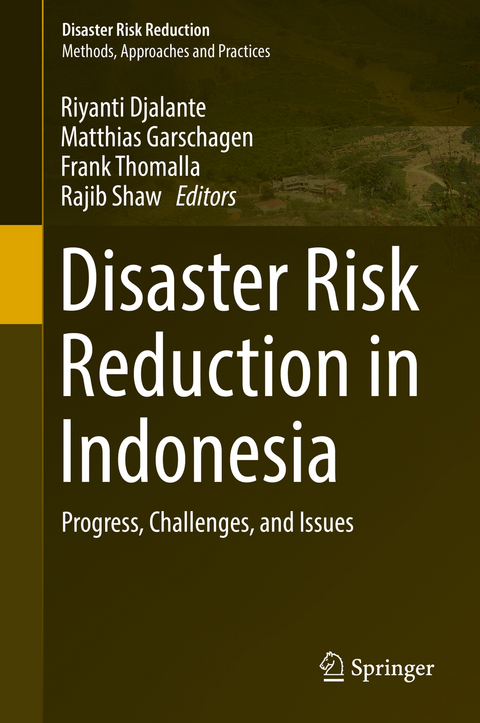 Disaster Risk Reduction in Indonesia - 