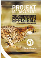 Projektmanagement - Zielorientierte Effizienz