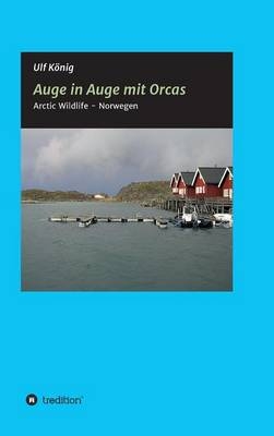 Auge in Auge mit Orcas - Ulf KÃ¶nig