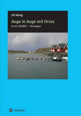 Auge in Auge mit Orcas - Ulf König