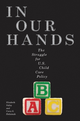 In Our Hands - Elizabeth Palley, Corey S. Shdaimah