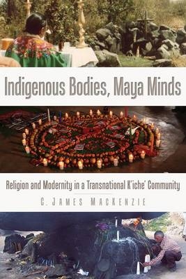 Indigenous Bodies, Maya Minds - C. James MacKenzie