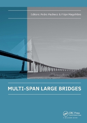 Multi-Span Large Bridges - 