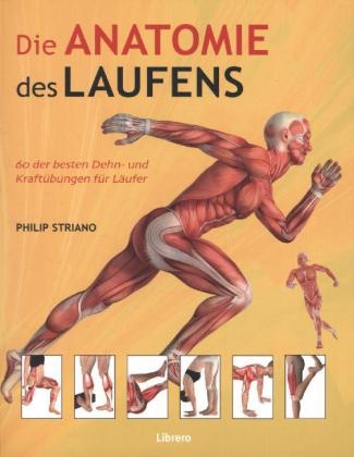 Die Anatomie des Laufens - Philip Striano