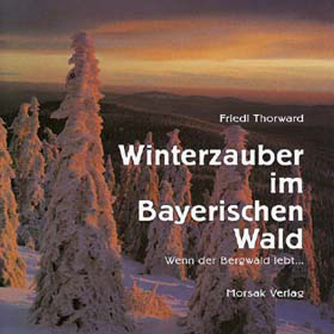 Winterzauber im Bayerischen Wald - Friedl Thorward