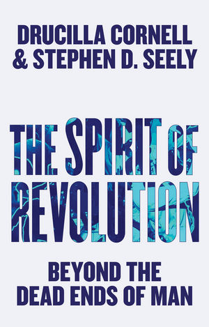 The Spirit of Revolution - Drucilla Cornell, Stephen D. Seely
