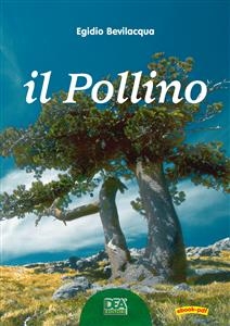 Il Pollino - Egidio Bevilacqua