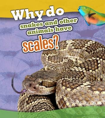 Why Do Snakes and Other Animals Have Scales? - Clare Lewis