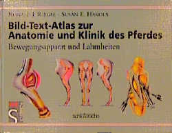 Bild-Text-Atlas zur Anatomie und Klinik des Pferdes - Ronald Riegel, Susan Hakola