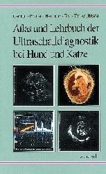 Atlas und Lehrbuch der Ultraschalldiagnostik bei Hund und Katze - Cordula Poulsen Nautrup, Ralf Tobias