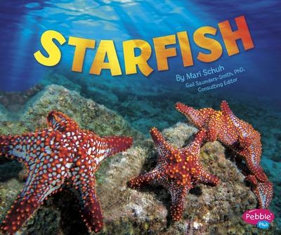 Starfish - Mari Schuh