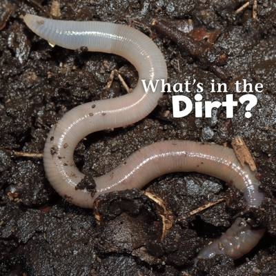 What's in the Soil? - Martha E. H. Rustad