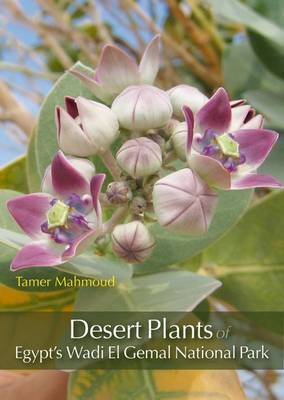 Desert Plants of Egypt’s Wadi El Gemal National Park - Tamer Mahmoud