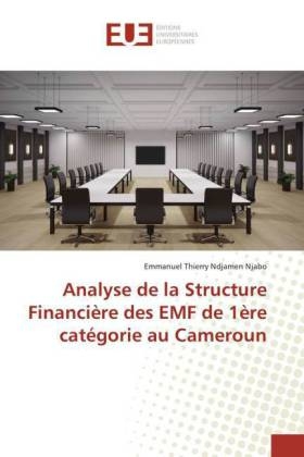 Analyse de la Structure FinanciÃ¨re des EMF de 1Ã¨re catÃ©gorie au Cameroun - Emmanuel Thierry Ndjamen Njabo