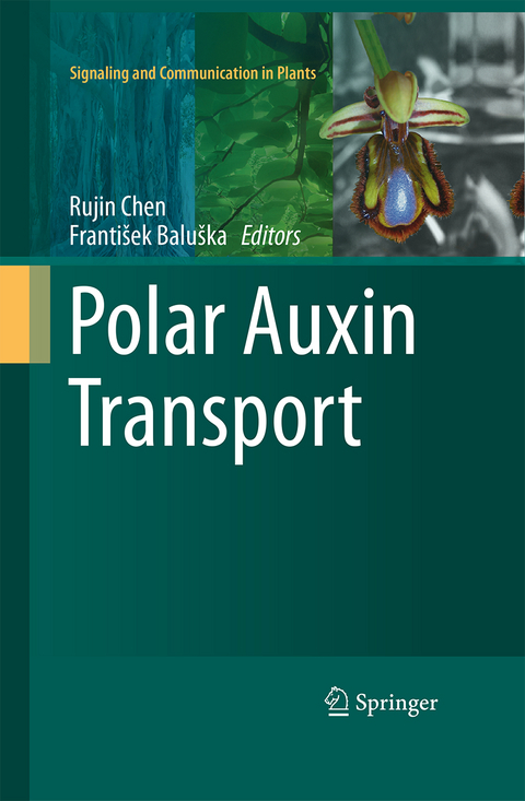 Polar Auxin Transport - 