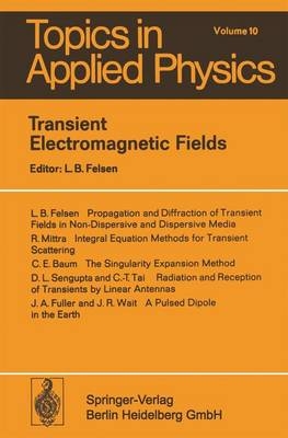 Transient Electromagnetic Fields - 