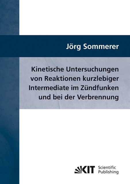 Kinetische Untersuchungen von Reaktionen kurzlebiger Intermediate im Zündfunken und bei der Verbrennung - Jörg Sommerer