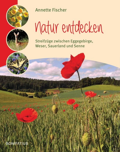 Natur entdecken - Annette Fischer