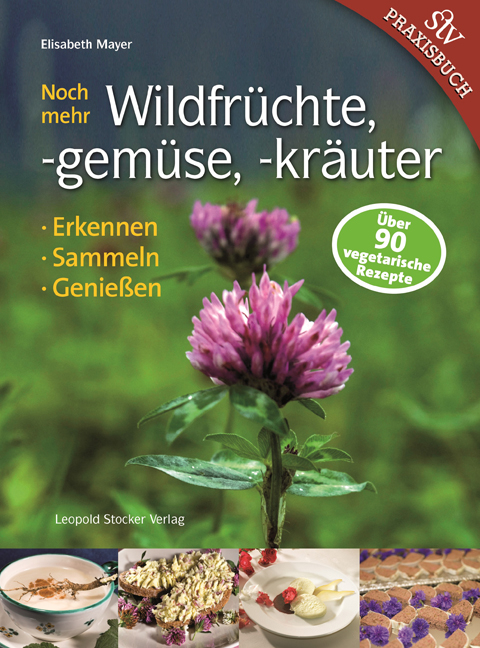 Noch mehr Wildfrüchte, -gemüse, -kräuter - Elisabeth Mayer