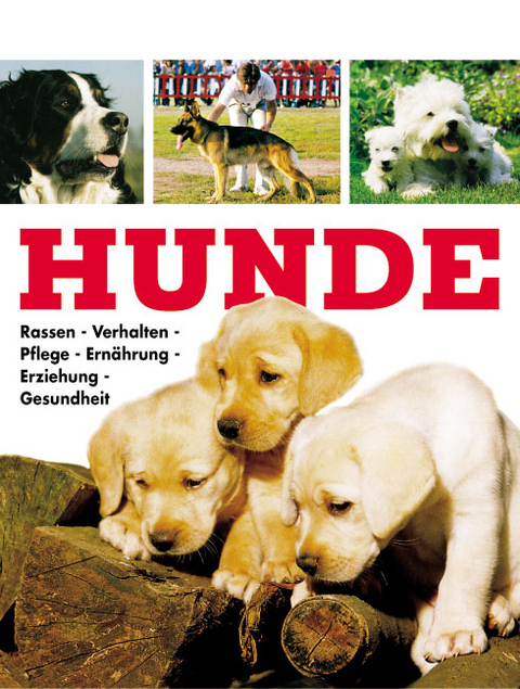 Hunde