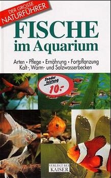 Fische im Aquarium - Mauro Mariani