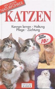 Katzen - Alexa Capra, Daniele Robotti