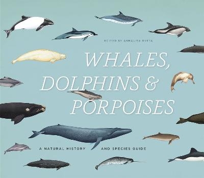 Whales, Dolphins & Porpoises - 