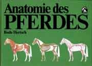 Anatomie des Pferdes - Bodo Hertsch
