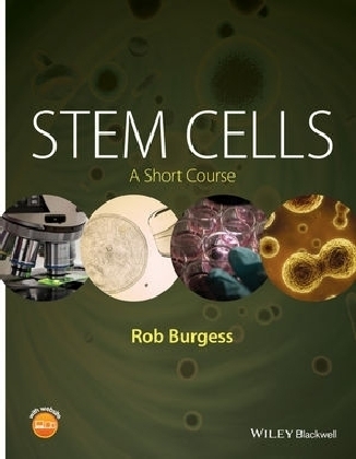 Stem Cells - Rob Burgess