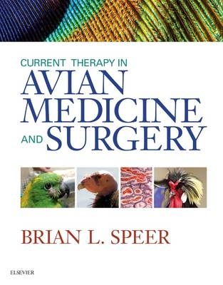 Current Therapy in Avian Medicine and Surgery - Brian L. Speer