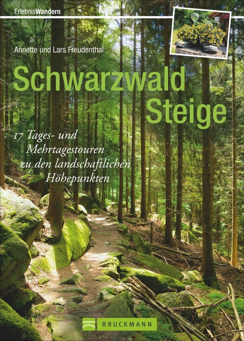 Schwarzwald Steige - Lars und Annette Freudenthal