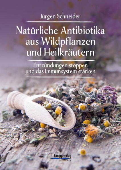 Natürliche Antibiotika aus Wildpflanzen und Heilkräutern - Jürgen Schneider