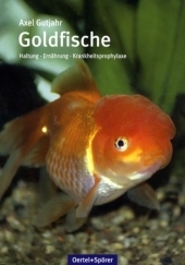 Goldfische - Axel Gutjahr