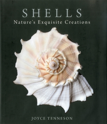 Shells - Joyce Tenneson