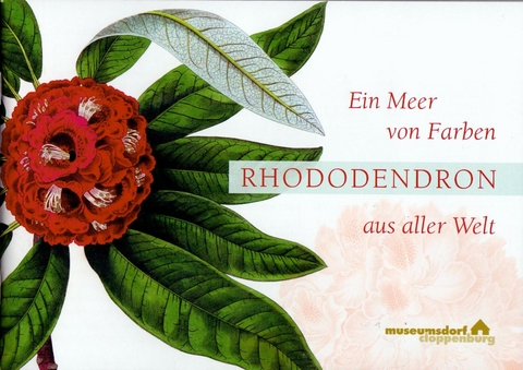 Ein Meer von Farben - Rhododendron aus aller Welt - Karl-Heinz Ziessow