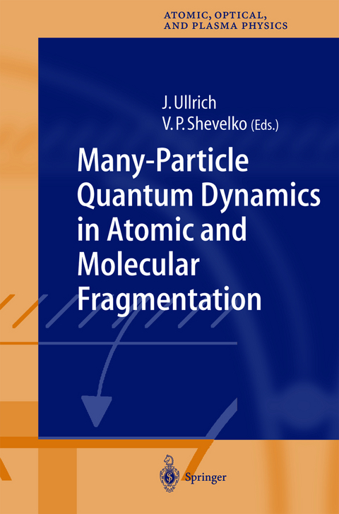 Many-Particle Quantum Dynamics in Atomic and Molecular Fragmentation - 