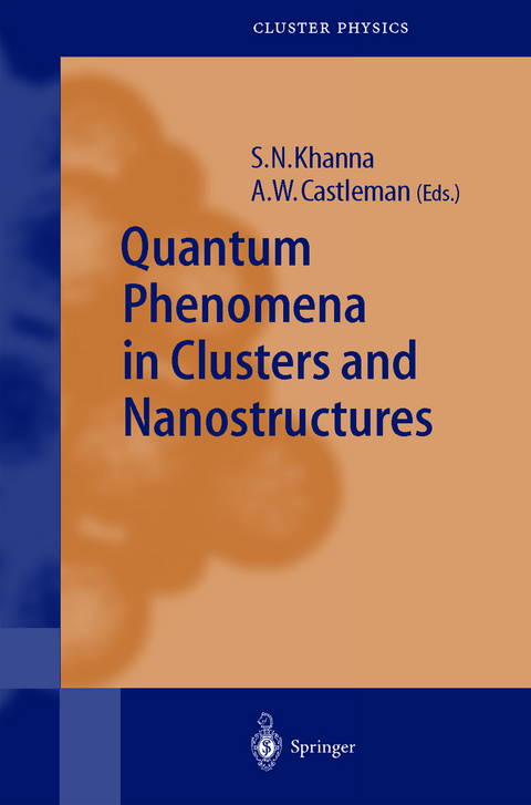 Quantum Phenomena in Clusters and Nanostructures - 