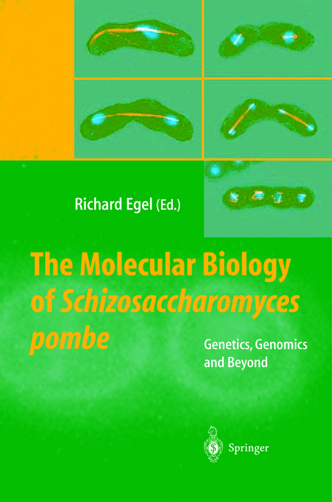 The Molecular Biology of Schizosaccharomyces pombe - 